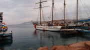 Taglit goes to Haifa